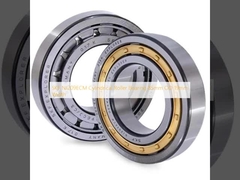 SKF NJ209ECM Rolamento cilíndrico de rolos 85 mm OD 19 mm Largura