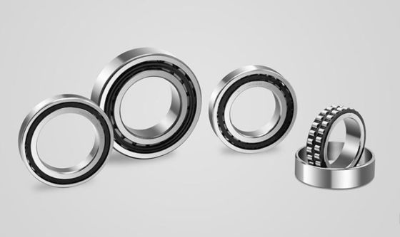 Rolamentos de rolos esféricos de fila dupla para a indústria aeroespacial P4 Nível de precisão 10kg-12300kg