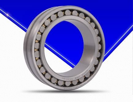 Rolos de rolamento cilíndrico multiuso Material durável GCr15